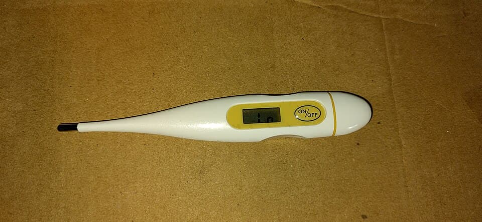 Digital Thermometer